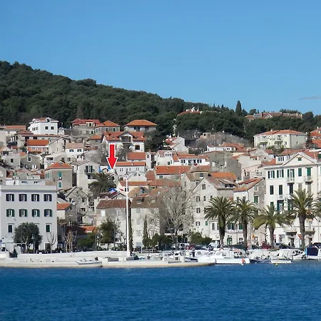 Little Palmina スプリト