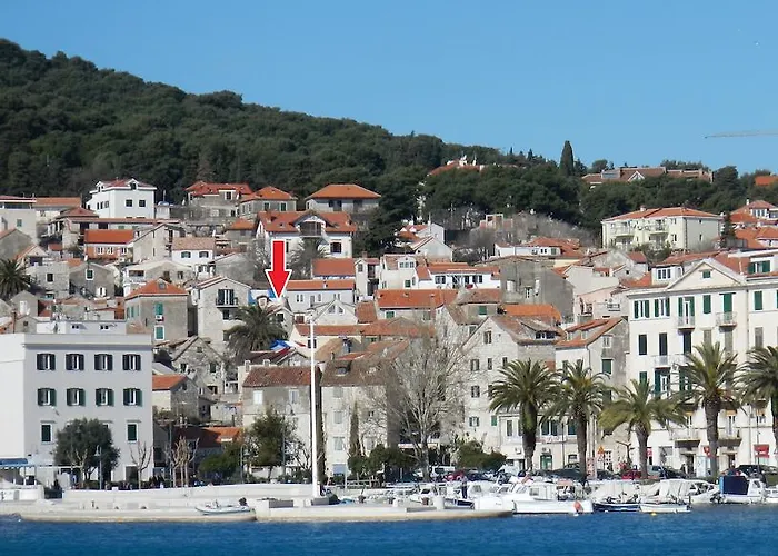 Little Palmina سبليت